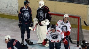 medvescak