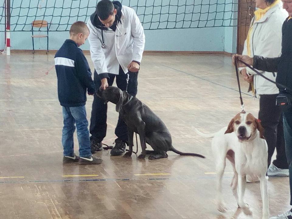 Osnovnu školu Glamoč posjetili predstavnici organizacije "Dogs Trust"