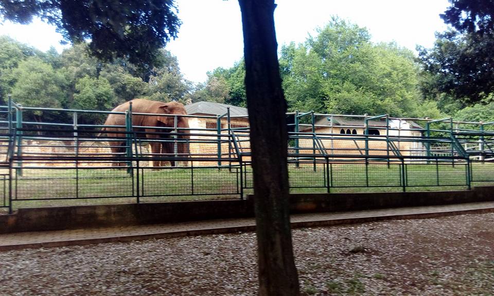 UČENICI OSNOVNE ŠKOLE GLAMOČ SU PROVELI ČETIRI DANA NA EKSKURZIJI  (FOTO)