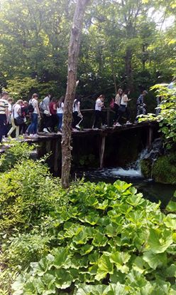 UČENICI OSNOVNE ŠKOLE GLAMOČ SU PROVELI ČETIRI DANA NA EKSKURZIJI  (FOTO)