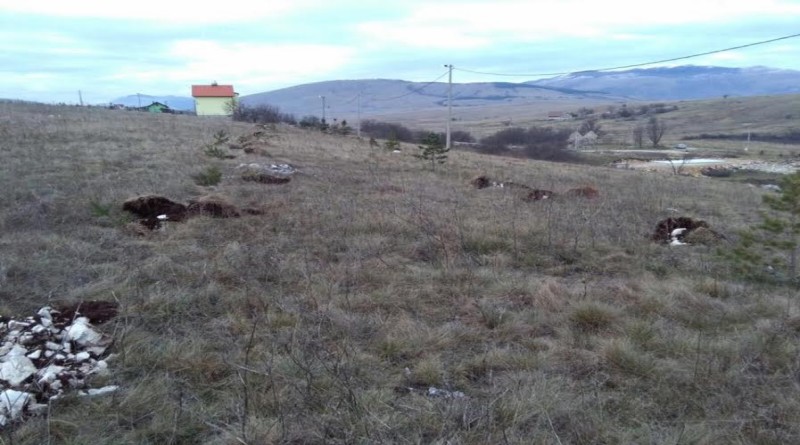 Diljem Bosne i Hercegovine Mladež HDZ BiH provela akcije zaštite okoliša