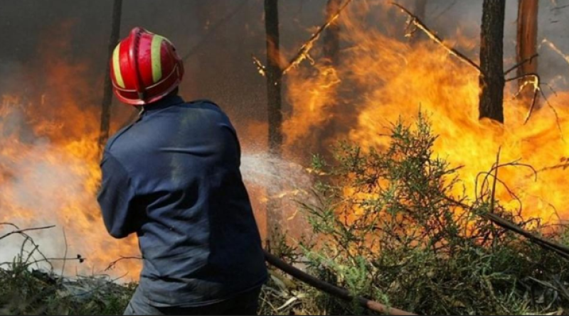 KUPRES: Viđena je jedna osoba kako namjernu potpaljuje suhu travu i nisko raslinje na više mjesta