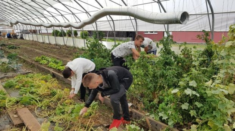 LIVNO: Srednjoškolci imaju svoju pučku kuhinju, plaćenu praksu, a posao ih čeka po završetku nastave