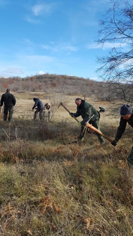 ŠUMARIJA LIVNO: Završeno pošumljavanje planirano za 2017. godinu.