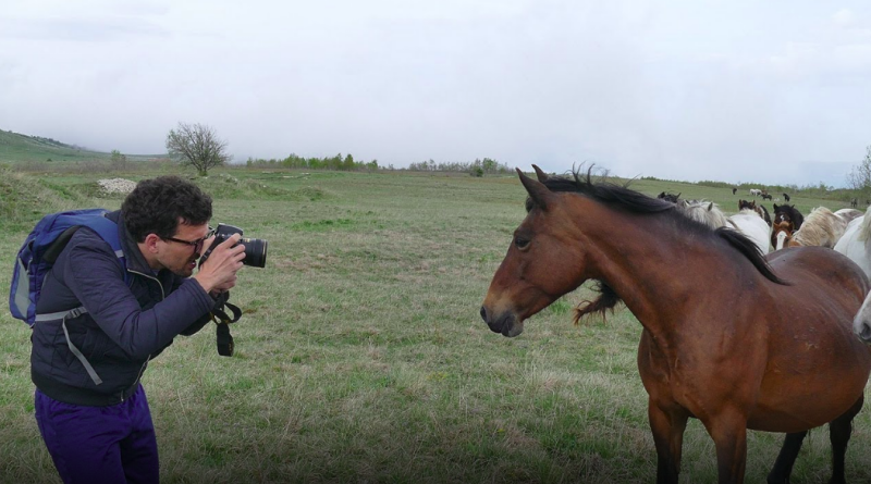 (VIDEO) Foto safari u Livnu