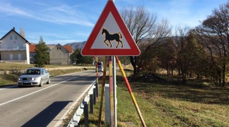 LIVNO: Postavljena svjetlosna signalizacija koja upozorava na divlje konje (FOTO)