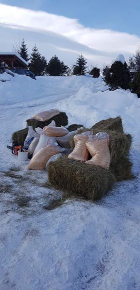 FOTO: Lovci iz sekcije “Vidoši” angažirali su se na hranjenju divljih životinja