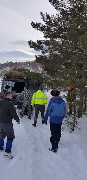 FOTO: Lovci iz sekcije “Vidoši” angažirali su se na hranjenju divljih životinja