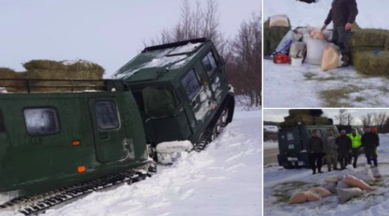 FOTO: Lovci iz sekcije “Vidoši” angažirali su se na hranjenju divljih životinja