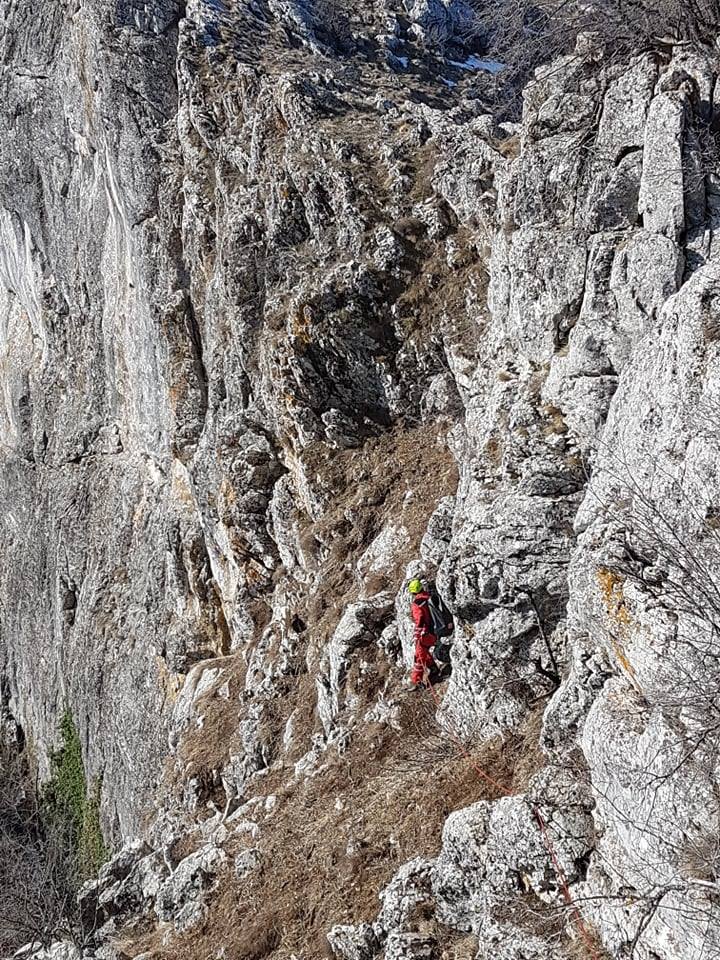 Članovi GSS HBŽ od jutros spašavali koze s litica Velikog Samograda!