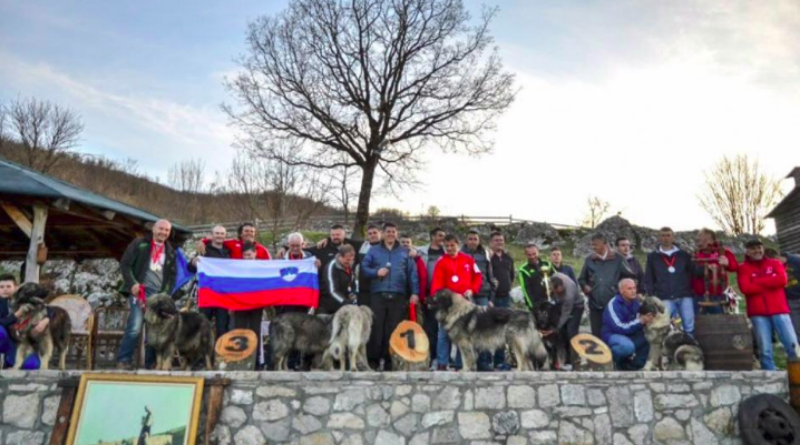 LIVNO: Rotvajler iz Tomislavgrada pobjednik Nacionalne izložbe pasa 'CAC Livno 2019.'