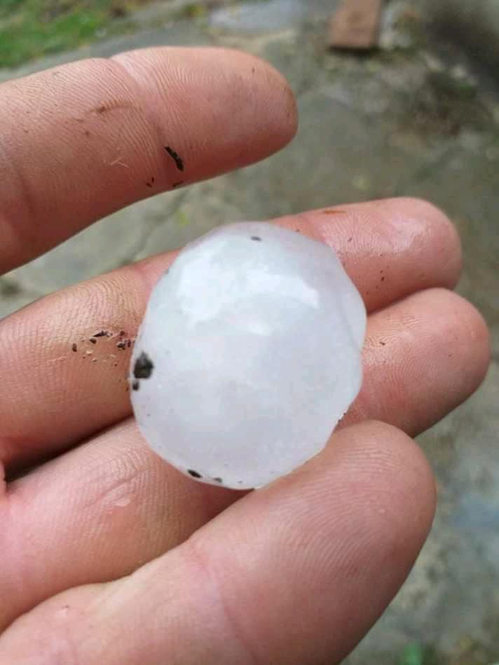 GLAMOČ: Krupa jučer pogodila glamočka sela, uništen krumpir i žitarice (FOTO)