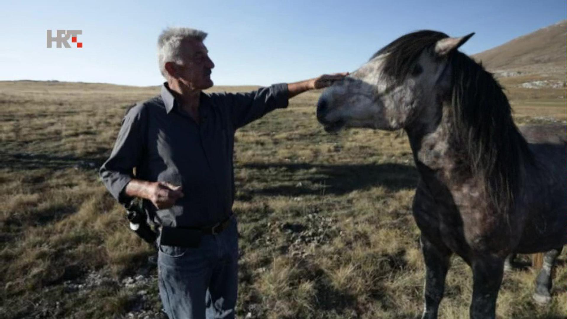 Ljepota livanjskih konja, malo tko može ostati ravnodušan