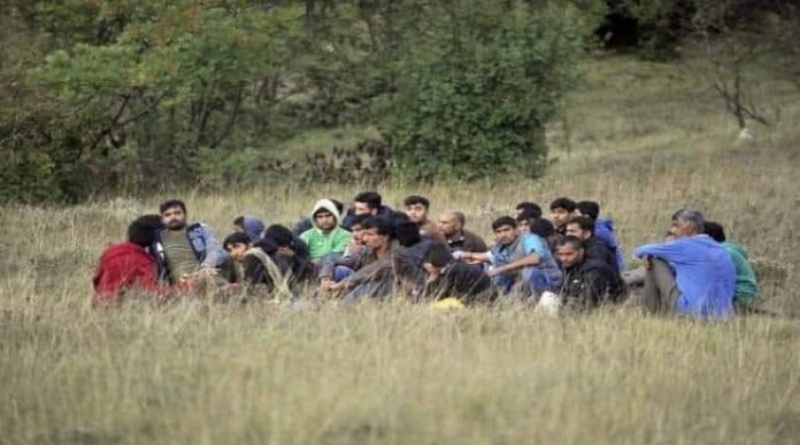 Migrant viđen u Podhumu kod Livna, predan je Odjelu za strance u Livnu