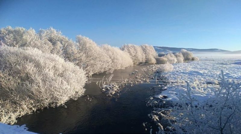 Foto: Na Kupresu “pingvini padaju u nesvist”