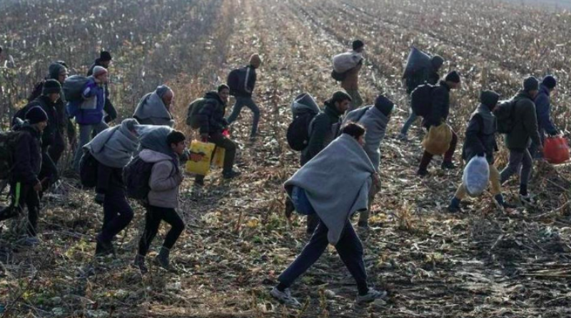 STANJE IZMIČE KONTROLI? Raste broj ilegalnih migranata u BiH, na tisuće ih luta ulicama i boravi u napuštenim objektima