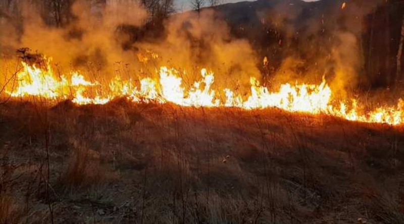 Zatraženo hitno otkrivanje počinitelja izazivanja šumskih požara