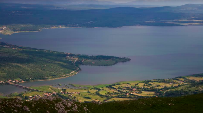 Domaćini u tuđoj kući