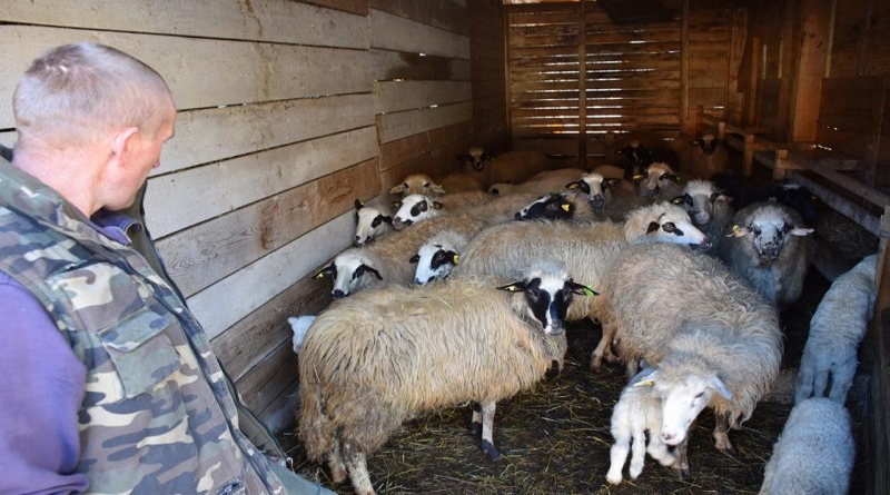 U inat sustavu: Bez marke kredita i sa pet maraka u džepu danas je jedan od najvećih farmera u svome kraju