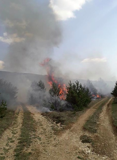 MJEŠTANI LIVANJSKOG SELA TUŠNICA OPET U AKCIJI: Sudjelovali u gašenju požara