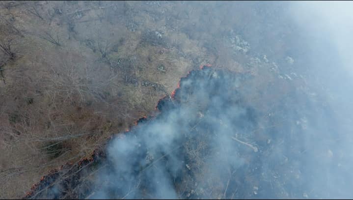 Apel za pomoć u spašavanju planine Dinare