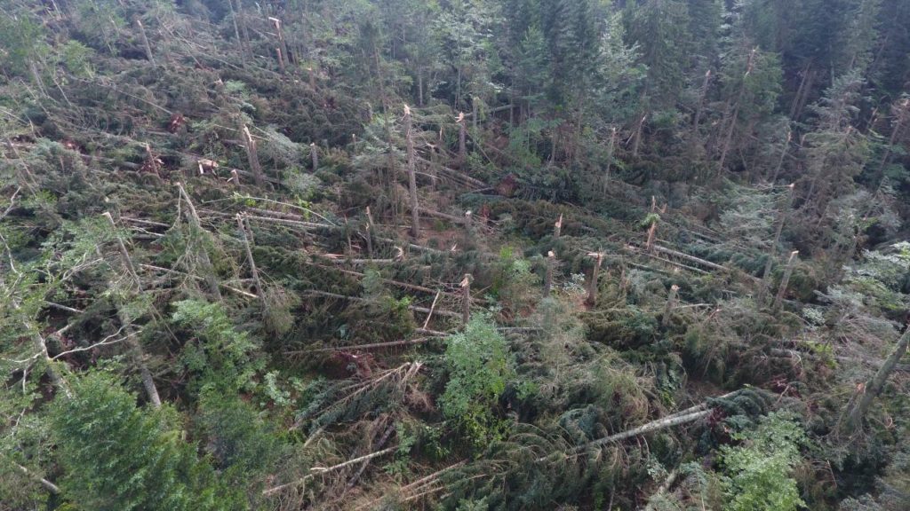 GLAMOČ: Vjetrolom u gospodarskoj jedinici Staretina Golija