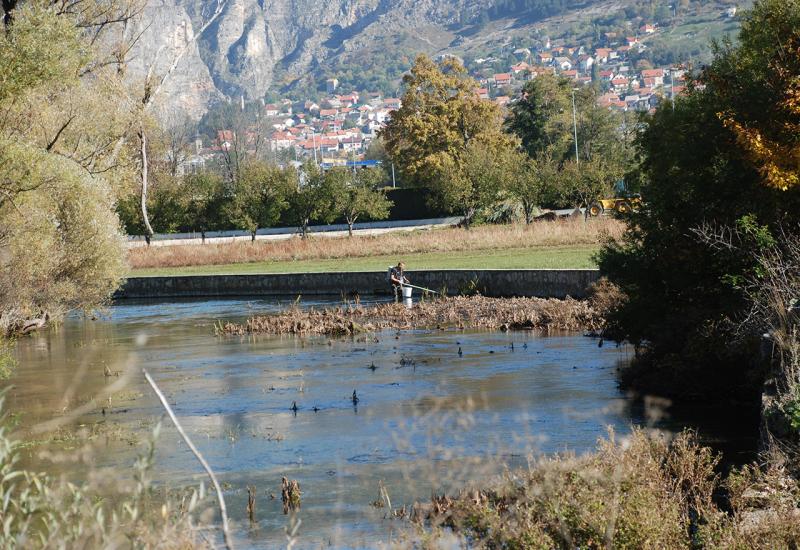 Nestaju li endemske vrste riba na području Livanjskog polja?