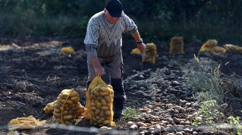 Krumpira ćemo imati samo do siječnja, nestašica je u cijeloj EU