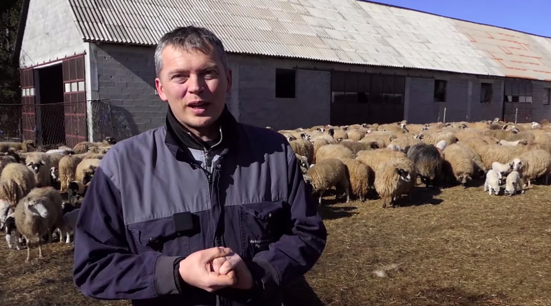 KUPRES: Napravio najbolju farmu ovaca u BiH, planira nešto neviđeno