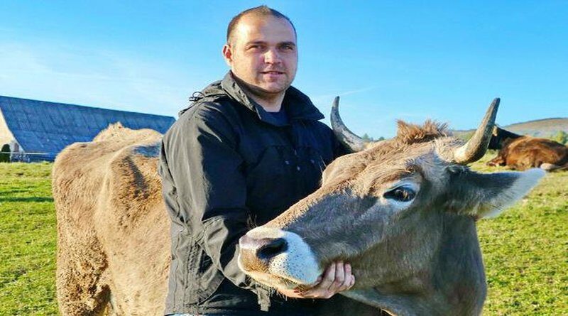 Ivan uzgaja krave i ne misli otići s Kupresa